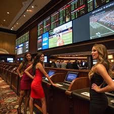 Lucky Panda mobile entertainment page on 24 bet for Bangladesh users
