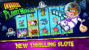 Responsible live casino privacy guidance on 24 bet for adult Bangladesh users